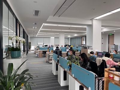 成都辰堅(jiān)信息咨詢在化妝品行業(yè)中的服務(wù)與應(yīng)用